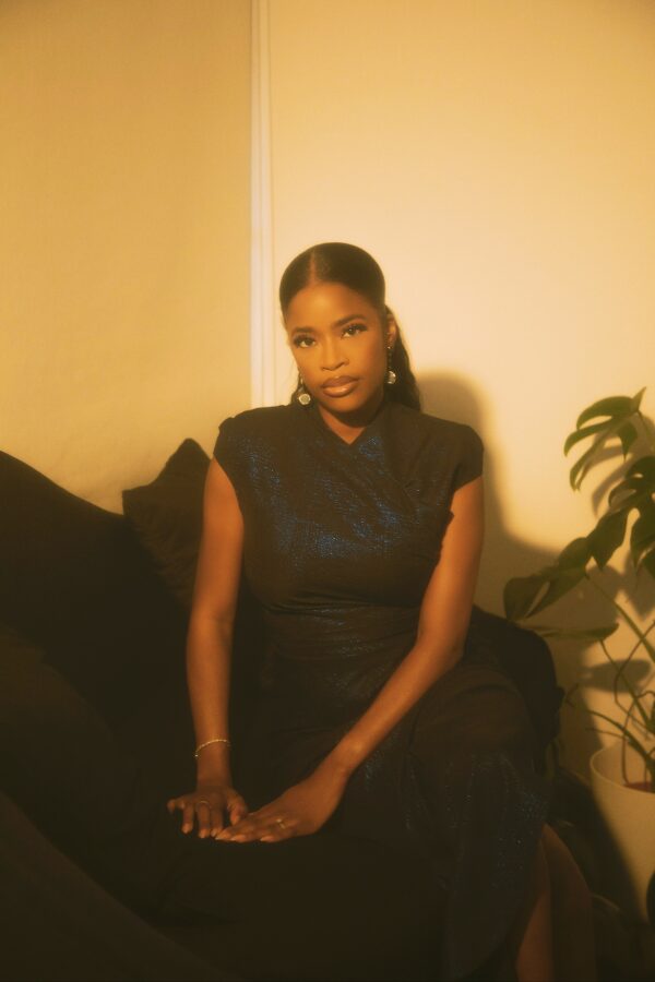 The Classe Dress - Image 4