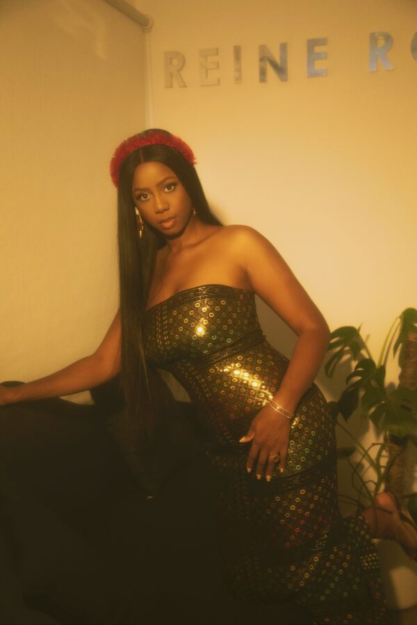The Tempa Dress - Image 2