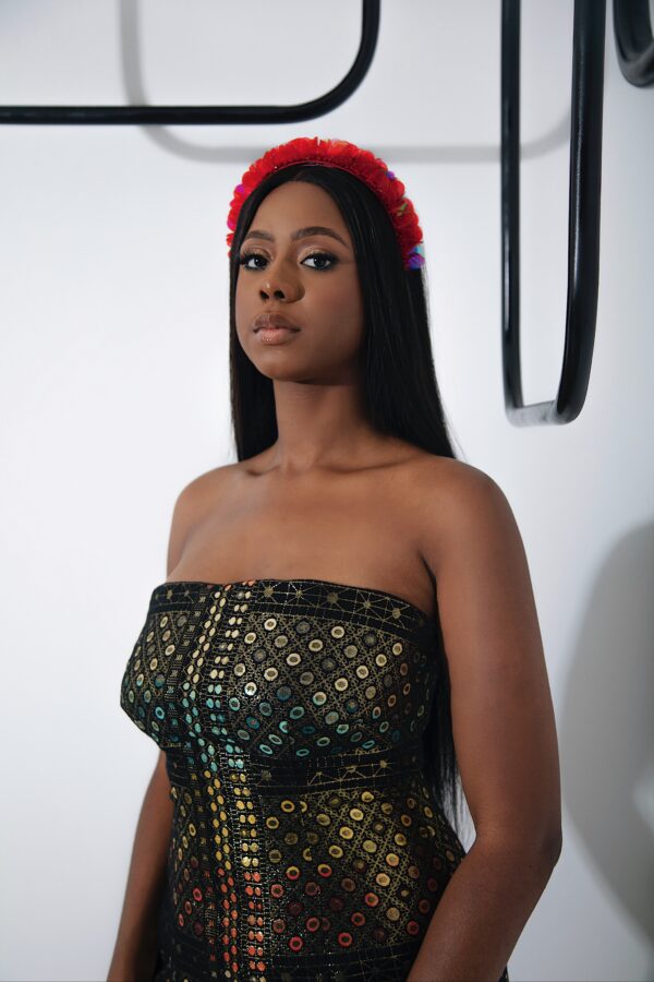 The Tempa Dress - Image 3