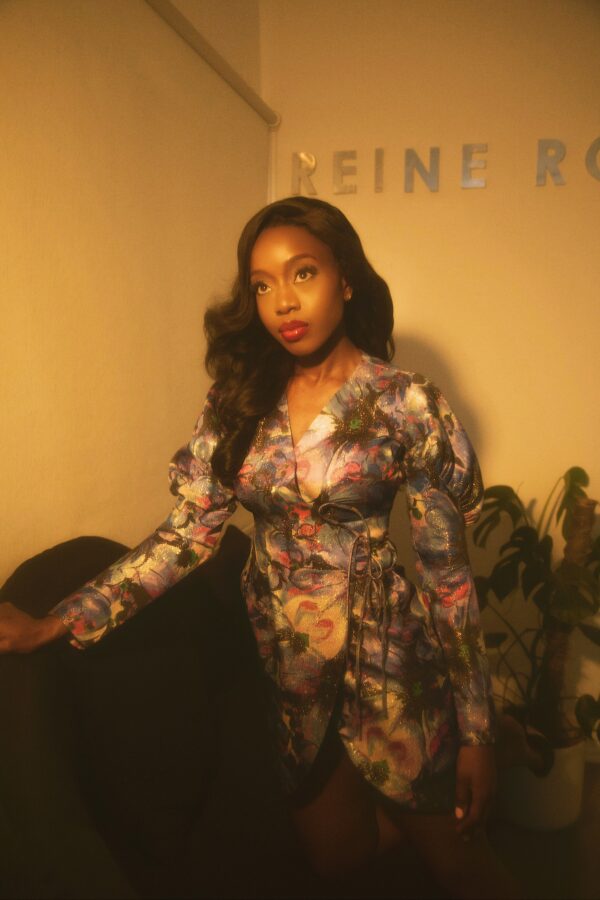 The Karl Dress - Image 3