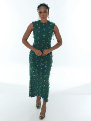The Artist Dress