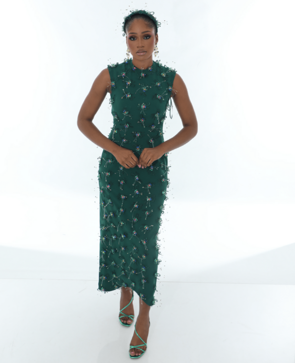 The Artist Dress