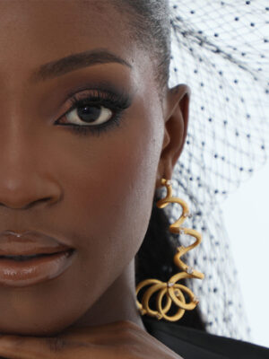 The Loop Earrings