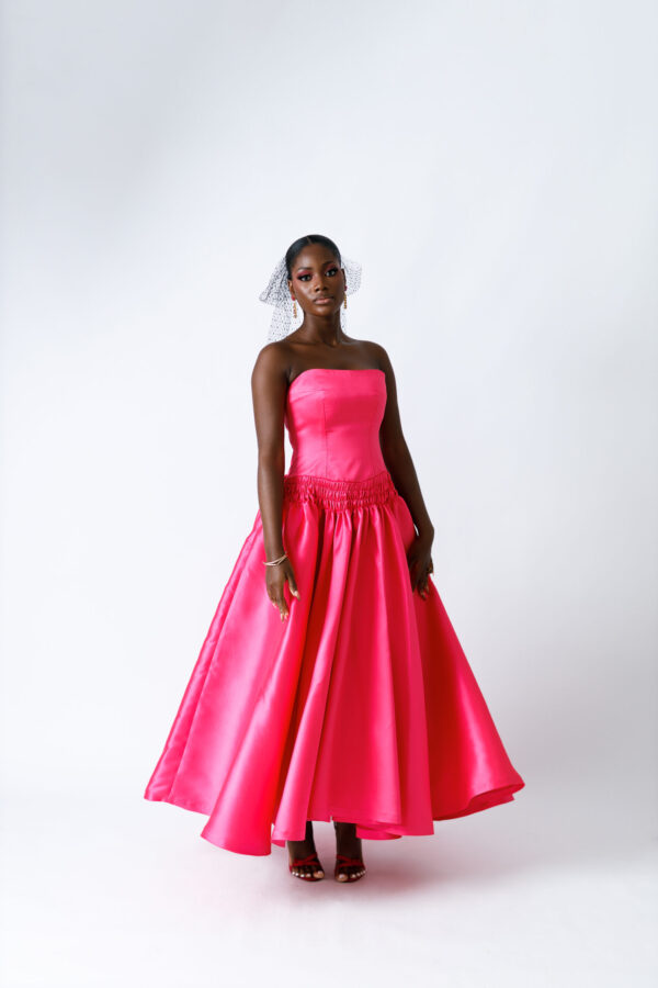 The Vava Dress - Image 4